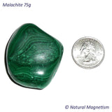 Malachite Tumbled Stones From Africa 75 grams