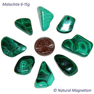 Medium Malachite Tumbled Stones From Africa