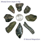 Medium Moody Green Jasper Tumbled Stones From Arizona AKA Zebra Jasper
