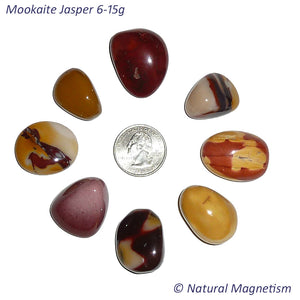 Medium Mookaite Jasper Tumbled Stones AKA Australian Jasper