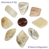 Medium Moonstone Tumbled Stones From India