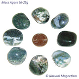 Large Moss Agate Tumbled Stones