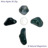 X-Large Moss Agate Tumbled Stones
