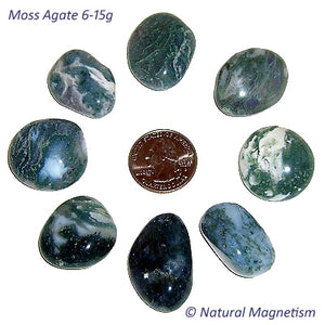 Medium Moss Agate Tumbled Stones