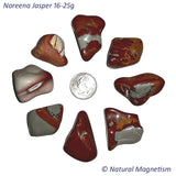 Large Noreena Jasper Tumbled Stones From Australia