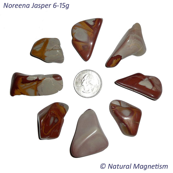 Medium Noreena Jasper Tumbled Stones From Australia