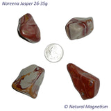 X-Large Noreena Jasper Tumbled Stones From Australia