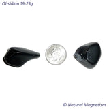 Large Obsidian Mix Tumbled Stones