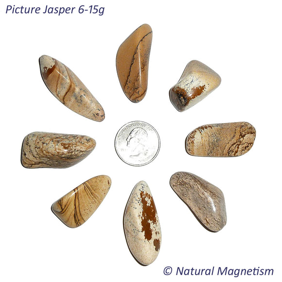Medium Picture Jasper Tumbled Stones From Africa