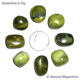 Medium Serpentine Tumbled Stones AKA New Jade