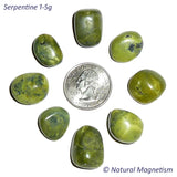 Small Serpentine Tumbled Stones AKA New Jade