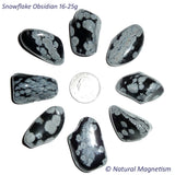 Large Snowflake Obsidian Tumbled Stones From Africa