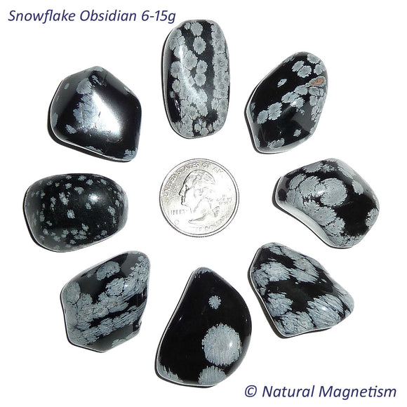 Medium Snowflake Obsidian Tumbled Stones From Africa