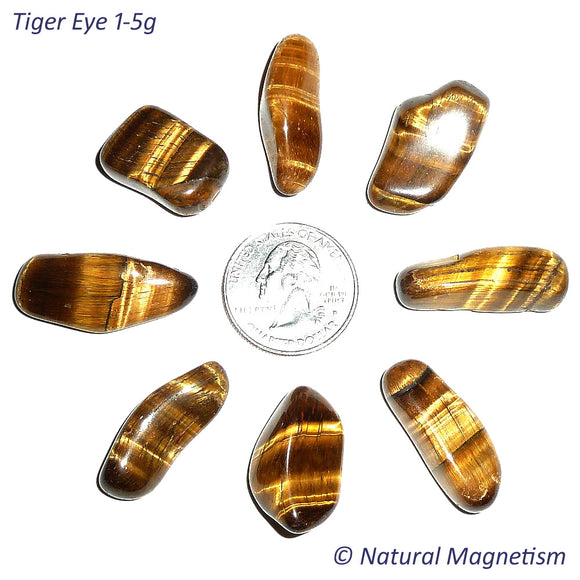 Small Tiger Eye Tumbled Stones From Africa AKA Tiger's Eye