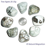 X-Large Tree Agate Tumbled Stones AKA Dendritic Quartz