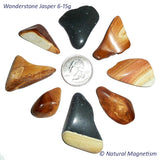 Medium Wonderstone Jasper Tumbled Stones From Utah | Healing Crystals | Access Possibilities