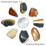 Small Wonderstone Jasper Tumbled Stones From Utah | Healing Crystals | Access Possibilities