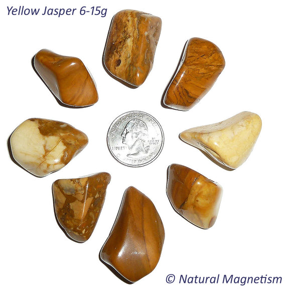 Medium Yellow Jasper Tumbled Stones From Africa